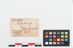 Etiketten zu Bronzebrillenfibel (NHMW-PRAE-024839)